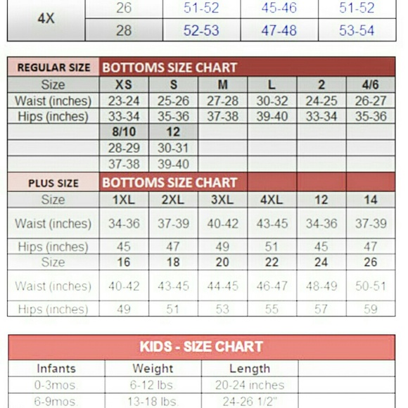 Side Fishnet Contrast Lace up Pants - Picture 4 of 4